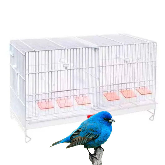 🐦 Jaula de Cría Nova Pedrós 60 – Ideal para Canarios y Aves Pequeñas