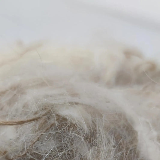 NestQ Blends Sisal Fiber with Natural Goat Hair 200 Grams for Canary Bird Nest Exotic Jilgueros-Sisal Fiber-Nest Accessories