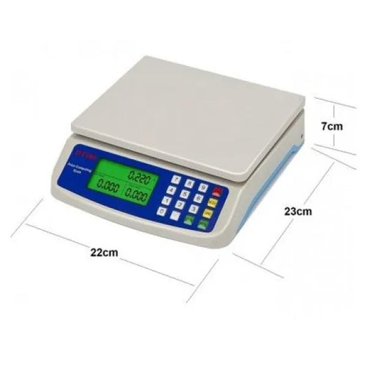 1 G to 30 kg SANDA precision electronic scale SD-4225