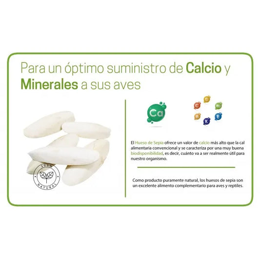 Cuttlefish pieces 2,5 kg Strongcages in Premium quality