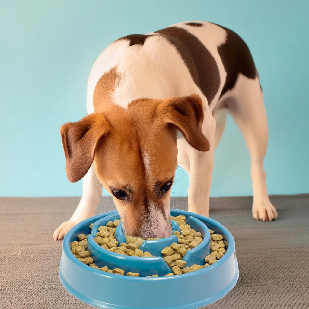 Blue Funny Design Antivoracity Feeder for Dogs and Cats Archivet