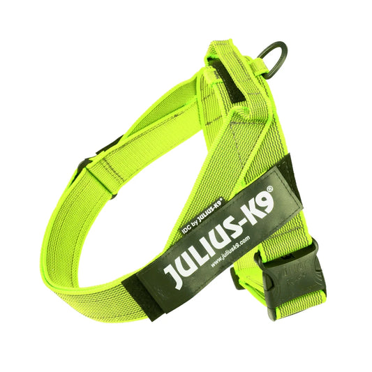 Leash for dogs Julius K9 IDC tape, harness for pets, harnels resistant, ergonomic harness, Platz K9