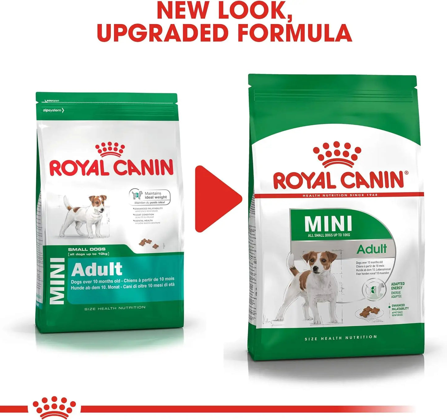Alimento para perros Royal Canin Adult Mini 4 kg Logrado Activo