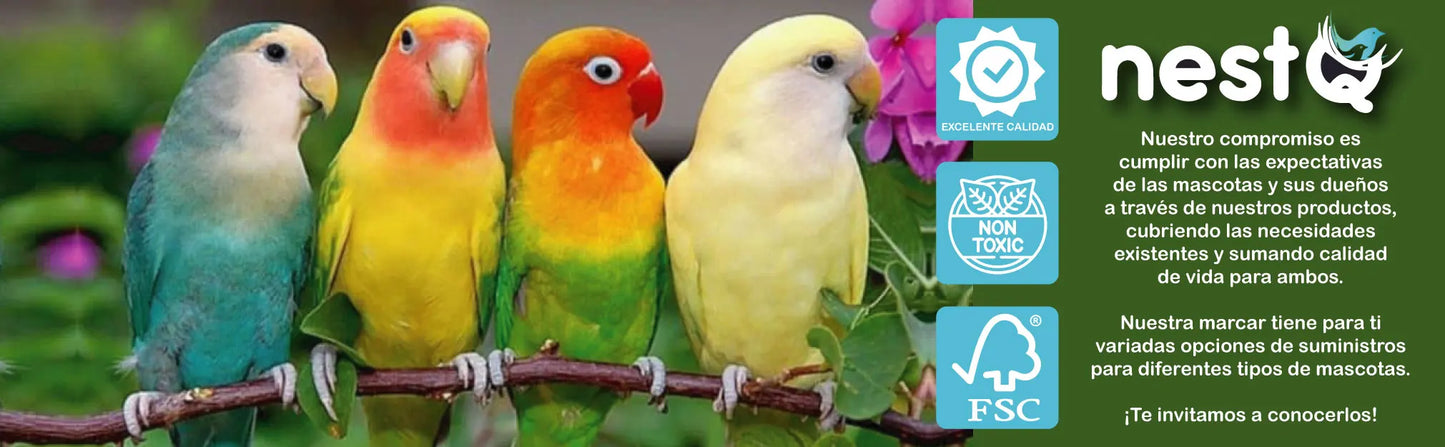 Nido de Madera NestQ para Agapornis y Periquitos Grandes – Con Anillas 2024 y Chip para Cama