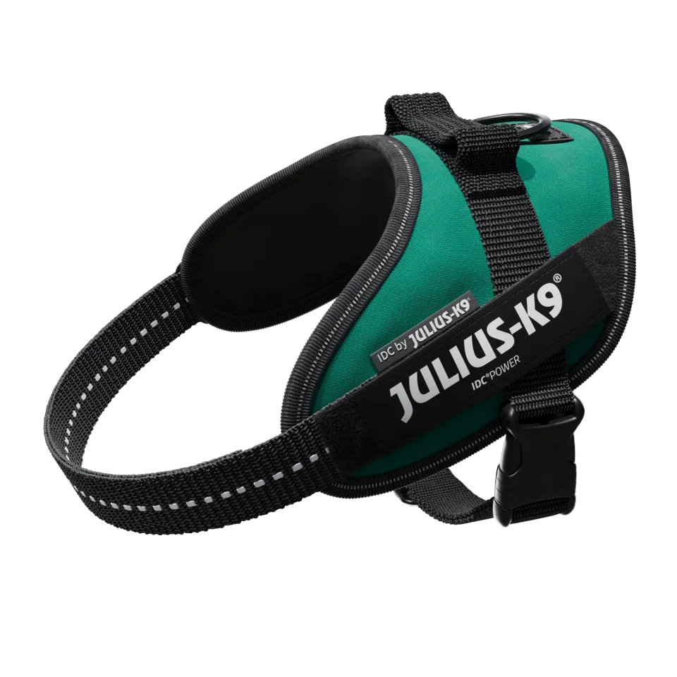 Julius-K9 IDC POWER dog harness new colors ergonomic and sporty harness easy to put