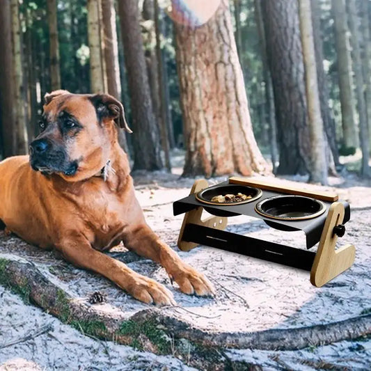 Cuencos elevados para perros Camping Cuenco elevado para perros Tazón para perros ajustable en 4 alturas para perros y gatos Acampar al aire libre