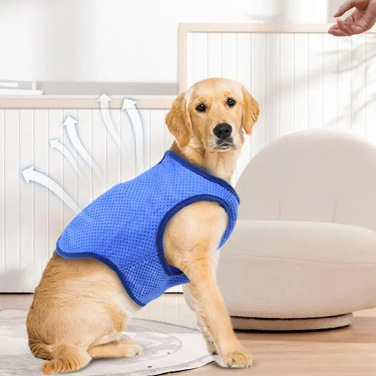 Chaleco transpirable para perros, de secado rápido, cómodo y agradable para la piel, ropa de moda para mascotas para exteriores.