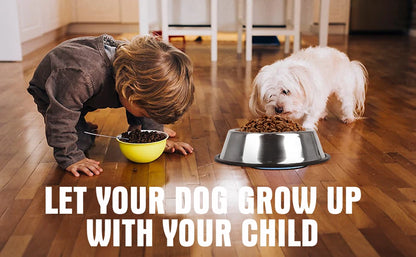 2 PCS Stainless Steel Dog Bowl, Anti-Slip Dog Bowl, Stainless Steel Pet Bowl with Non-Slip Rubber Base for Medium/Large Dogs 25.5 CM