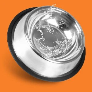 2 PCS Stainless Steel Dog Bowl, Anti-Slip Dog Bowl, Stainless Steel Pet Bowl with Non-Slip Rubber Base for Medium/Large Dogs 25.5 CM