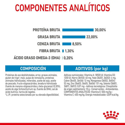 Alimento para cachorros Royal Canin Mini Starter tamaño pequeño 1 kg