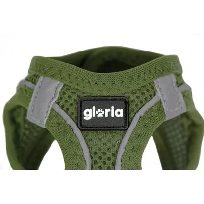 Arnés Glory Air Mesh Trek Star para perros, color verde, talla XXS