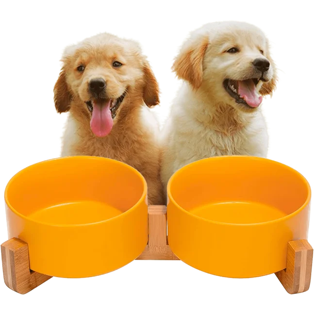 Edipets Comedero Doble Cerámico para Perros con Base de Bambú Logrado