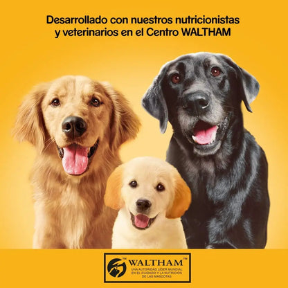 Comida húmeda para perros Pedigree sabor Pollo Paté (Pack de 12 latas x 800g)