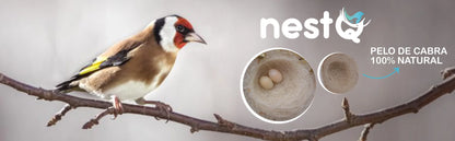 Nestq Fibra Natural de Pelo de Cabra 200 gramos – Accesorio para Nidos de Aves y Aves Exóticas