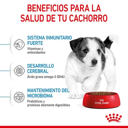 Alimento para cachorros Royal Canin Mini Puppy de raza pequeña de 2 kg
