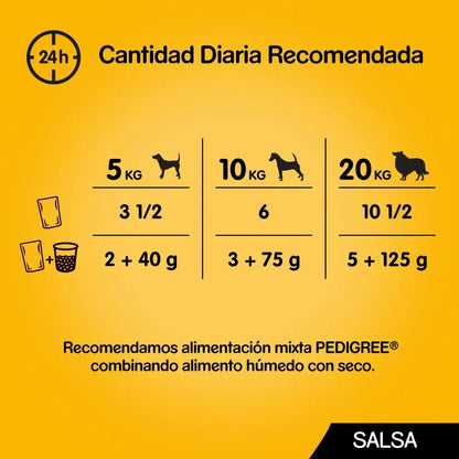 Comida húmeda para perros Pedigree sabores mixtos en salsa, paquete múltiple (paquete de 4 x 12 bolsas x 100 g) + regalo Dentastix para perros pequeños