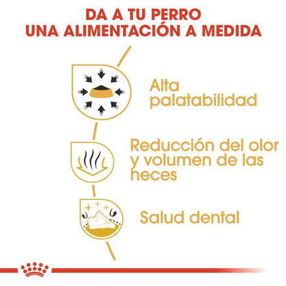 Royal Canin Chihuahua Adult 3Kg Alimento para perros adultos