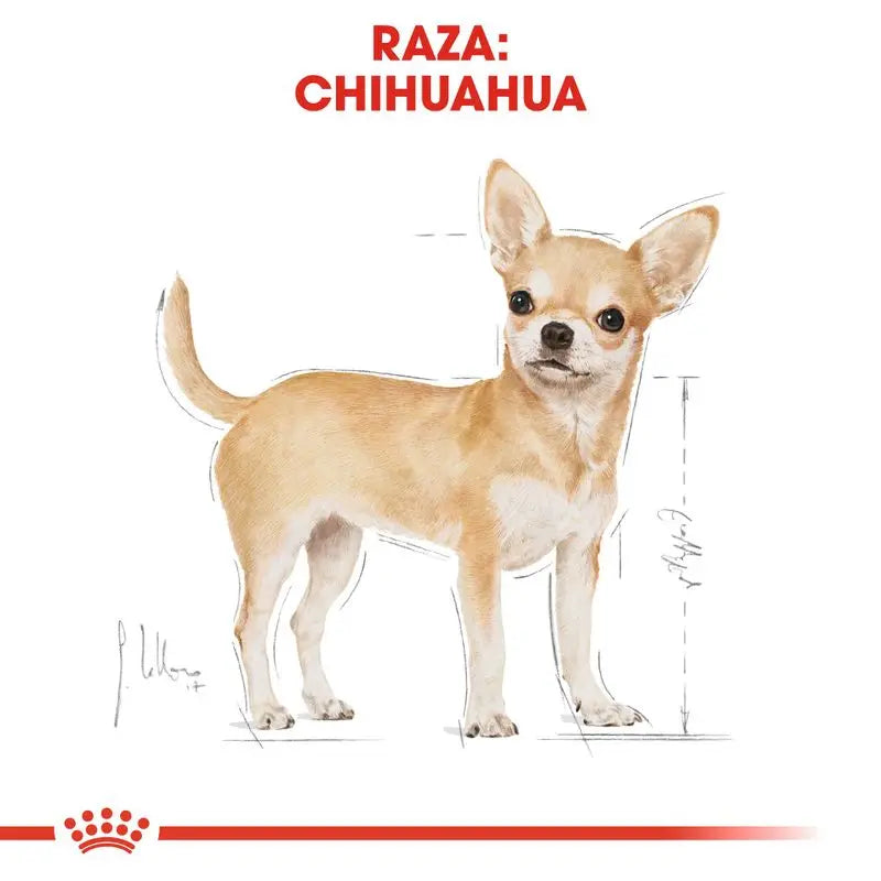 Royal Canin Chihuahua Adult 3Kg Alimento para perros adultos