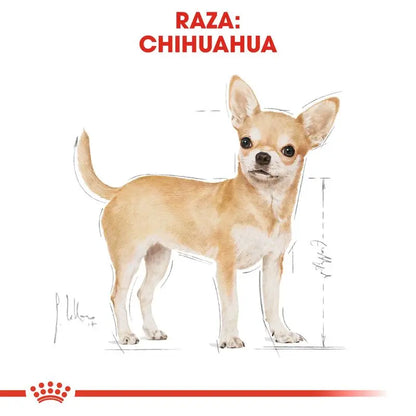 Royal Canin Chihuahua Adult 3Kg Alimento para perros adultos