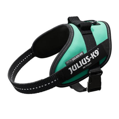 Julius-K9 IDC POWER dog harness new colors ergonomic and sporty harness easy to put