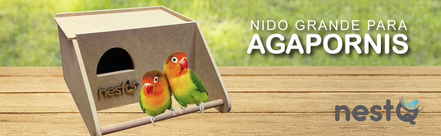 Nido de Madera NestQ para Agapornis y Periquitos Grandes – Con Anillas 2024 y Chip para Cama