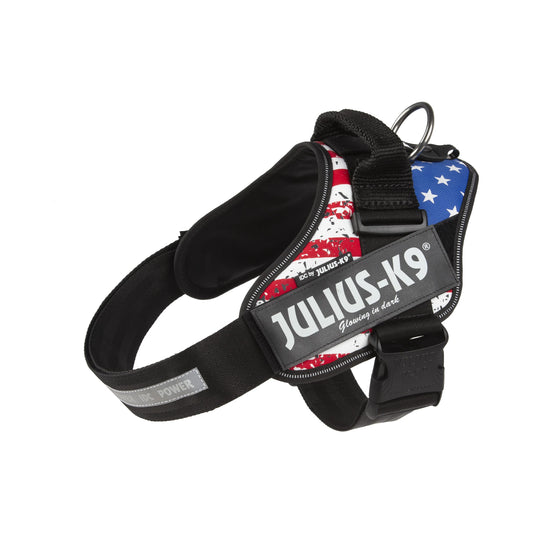 Julius-K9 IDC POWER dog harness new colors ergonomic and sporty harness easy to put