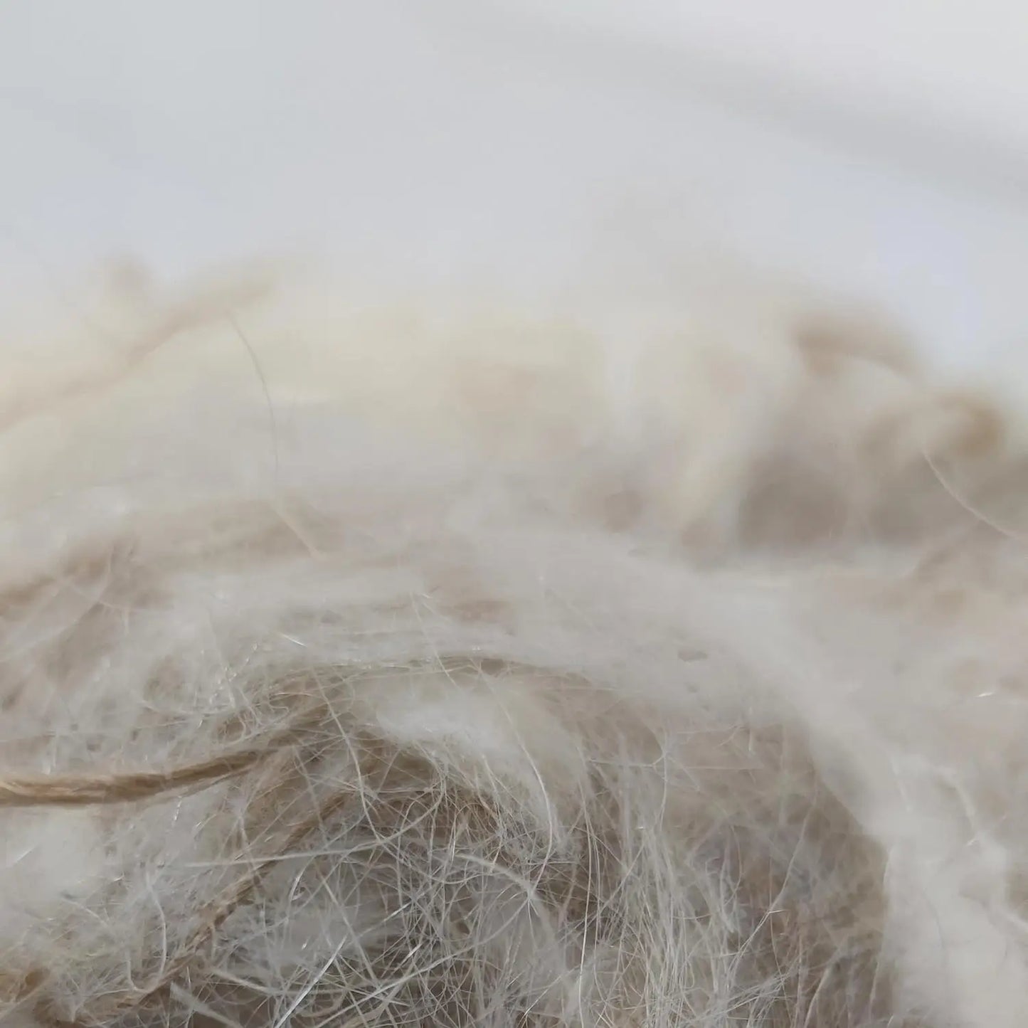 NestQ Blends Sisal Fiber with Natural Goat Hair 200 Grams for Canary Bird Nest Exotic Jilgueros-Sisal Fiber-Nest Accessories