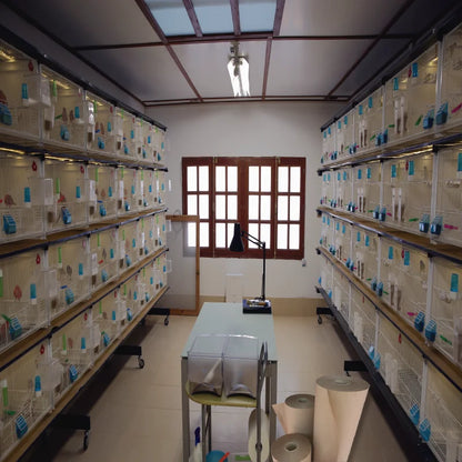 Bobina de Papel Kraft Marrón Dronpaper 36-40 cm de Ancho y 100 m de Largo