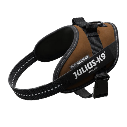 Julius-K9 IDC POWER dog harness new colors ergonomic and sporty harness easy to put