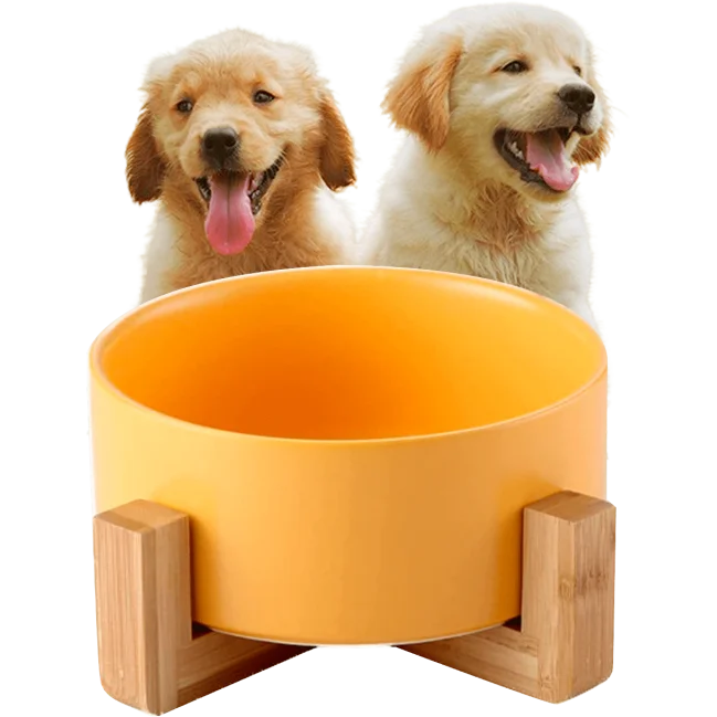 Comedero para perros Edipets con base de bambú simple de cerámica para gatos