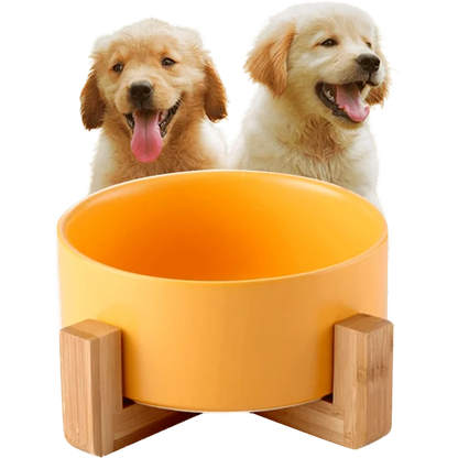 Comedero para perros Edipets con base de bambú simple de cerámica para gatos