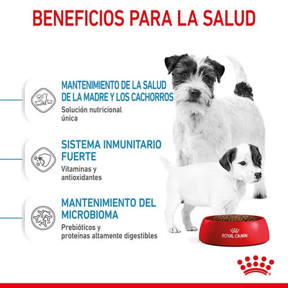 Alimento para cachorros Royal Canin Mini Starter tamaño pequeño 1 kg
