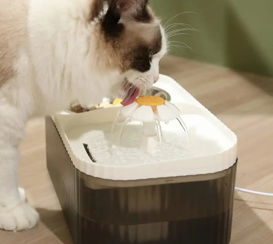 Comedero automático para gatos de 3 l, silencioso y ergonómico.