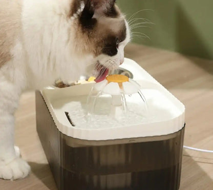 Comedero automático para gatos de 3 l, silencioso y ergonómico.