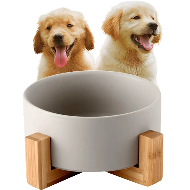 Comedero para perros Edipets con base de bambú simple de cerámica para gatos