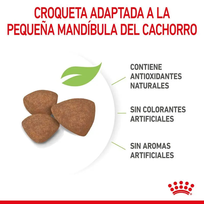 Alimento para cachorros Royal Canin Mini Puppy de raza pequeña de 2 kg