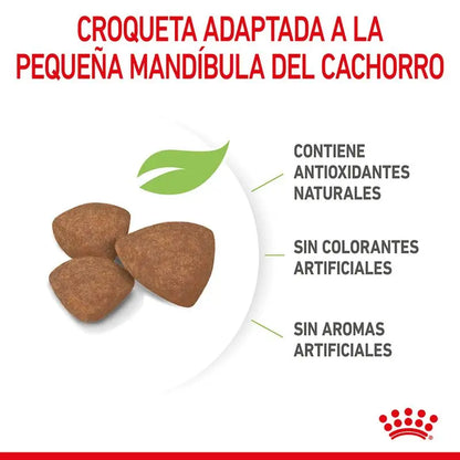 Alimento para cachorros Royal Canin Mini Puppy de raza pequeña de 2 kg