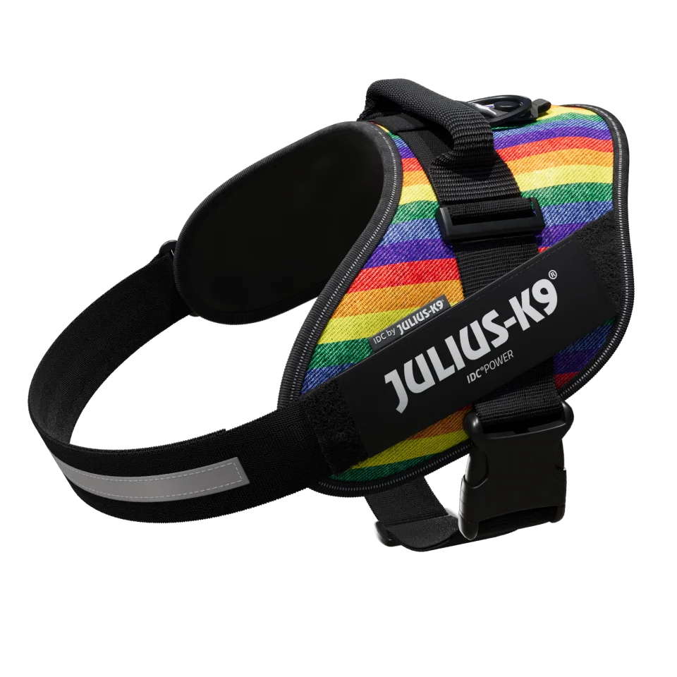 Julius-K9 IDC POWER dog harness new colors ergonomic and sporty harness easy to put