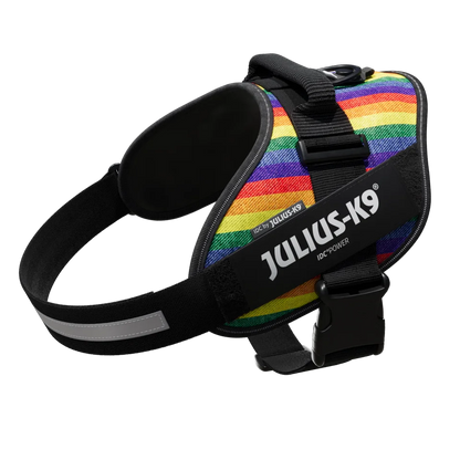 Julius-K9 IDC POWER dog harness new colors ergonomic and sporty harness easy to put