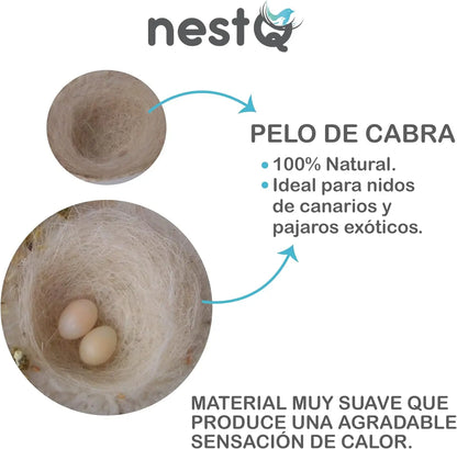 Wood nest for Exoticos nestQ diamonds Gould 20 cm (length) x 13 cm x 13 cm (base) x 16 (height) with Material peeling and goat hair filler holder, mandarins, bib Tricolor isabelite Japan