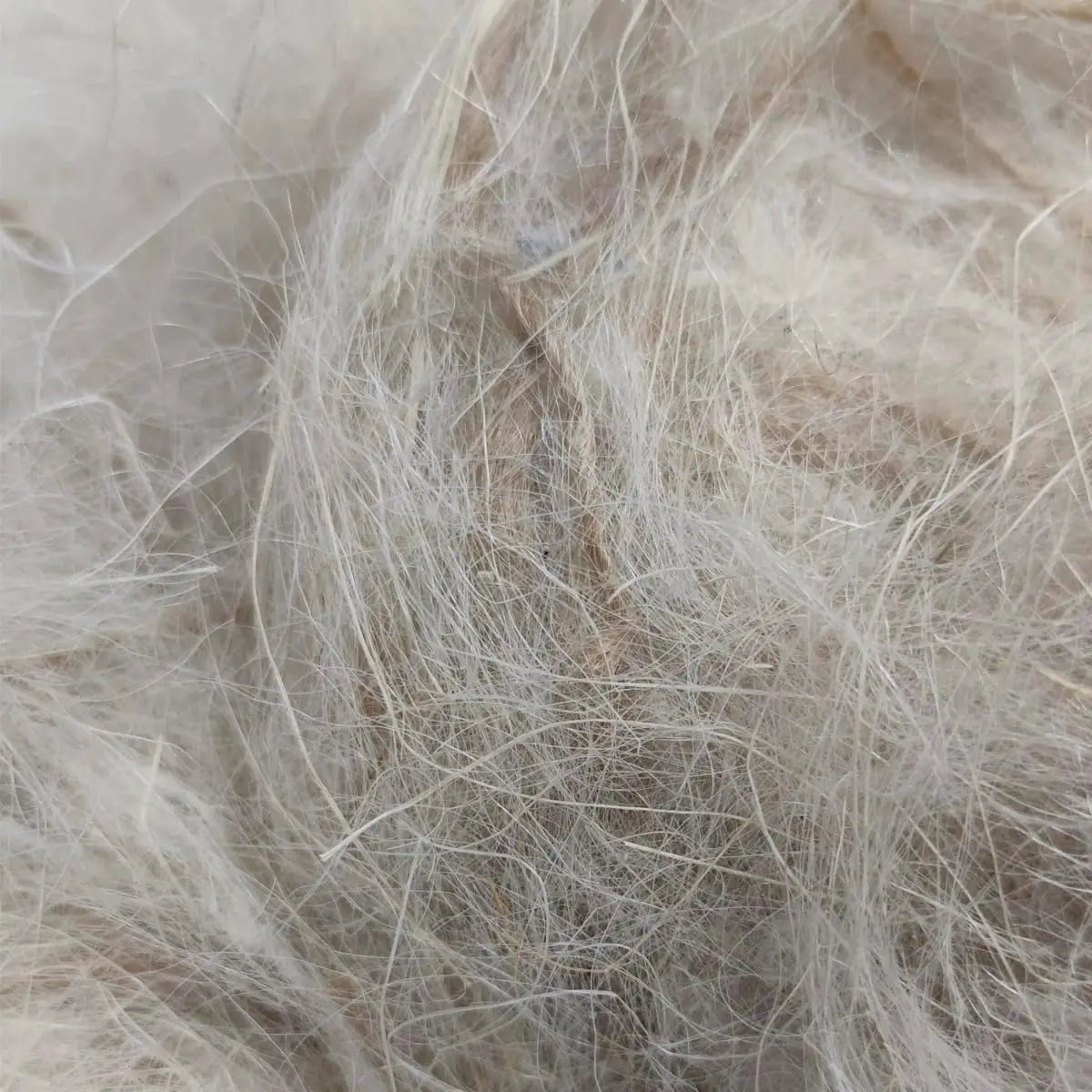 NestQ Blends Sisal Fiber with Natural Goat Hair 200 Grams for Canary Bird Nest Exotic Jilgueros-Sisal Fiber-Nest Accessories