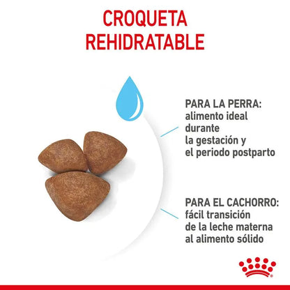 Alimento para cachorros Royal Canin Mini Starter tamaño pequeño 1 kg