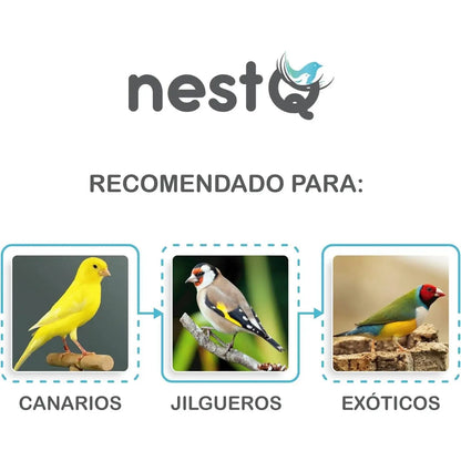 NestQ Blends Sisal Fiber with Natural Goat Hair 200 Grams for Canary Bird Nest Exotic Jilgueros-Sisal Fiber-Nest Accessories