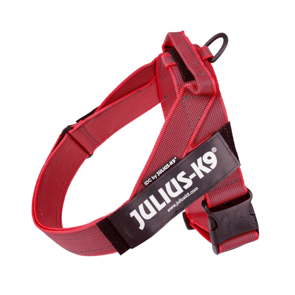 Leash for dogs Julius K9 IDC tape, harness for pets, harnels resistant, ergonomic harness, Platz K9