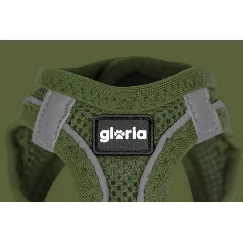 Arnés Glory Air Mesh Trek Star para perros, color verde, talla XXS
