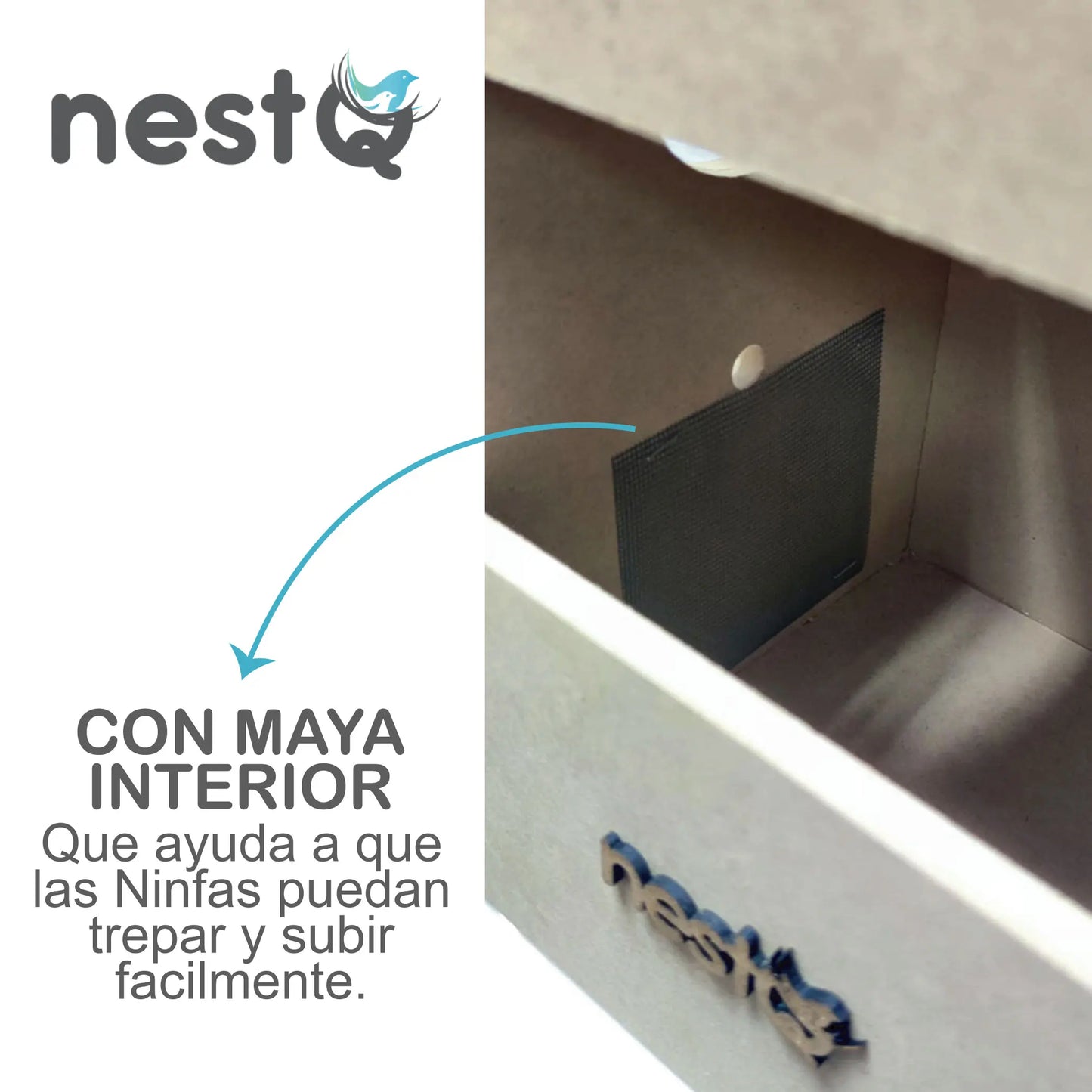 Nestq Nest for Nymphs 30 cm X 20 cm X 20 cm - Wooden Breeding House with Chip - Nest Size S Nymphs, Carolinas, Cockatoos, Pyrrhuras - Wooden House for Birds - Vertical Wooden Nest