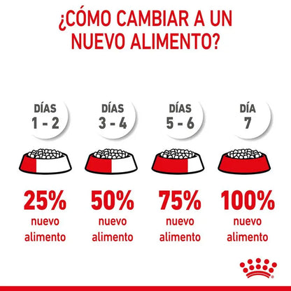 Alimento para cachorros Royal Canin Mini Puppy de raza pequeña de 2 kg
