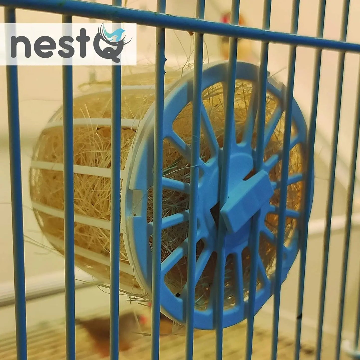 Wood nest for Exoticos nestQ diamonds Gould 20 cm (length) x 13 cm x 13 cm (base) x 16 (height) with Material peeling and goat hair filler holder, mandarins, bib Tricolor isabelite Japan