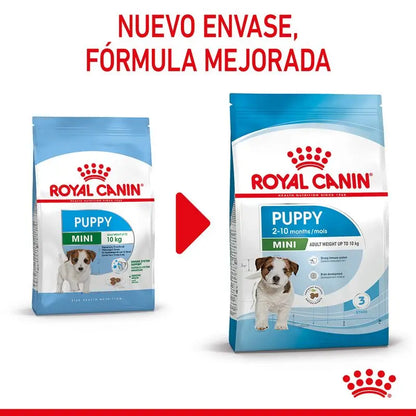 Alimento para cachorros Royal Canin Mini Puppy de raza pequeña de 2 kg