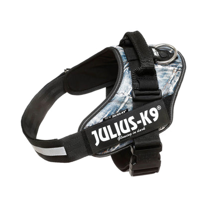 Julius-K9 IDC POWER dog harness new colors ergonomic and sporty harness easy to put